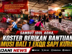 Sambut Idul Adha, Koster Berikan Bantuan BAMUSI Bali 1 Ekor Sapi Kurban