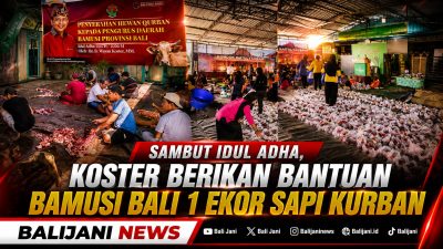 Sambut Idul Adha, Koster Berikan Bantuan BAMUSI Bali 1 Ekor Sapi Kurban