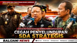Satgas PKH Tinjau Kontainer Mineral Rare Earth di Batam, Cegah Penyelundupan SDA Strategis