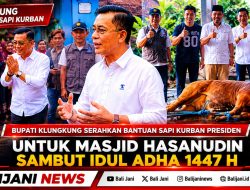 Bupati Klungkung Serahkan Bantuan Sapi Kurban Presiden untuk Masjid Hasanudin Sambut Idul Adha 1447 H