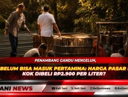 Penambang Gandu Mengeluh, Minyak Belum Bisa Masuk Pertamina: Harga Pasar Rp6.500, Kok Dibeli Rp2.900 per Liter?