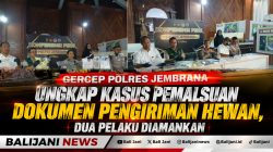 Gercep Polres Jembrana Ungkap Kasus Pemalsuan Dokumen Pengiriman Hewan, Dua Pelaku Diamankan