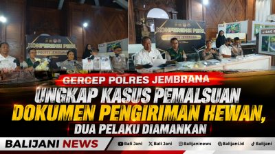 Gercep Polres Jembrana Ungkap Kasus Pemalsuan Dokumen Pengiriman Hewan, Dua Pelaku Diamankan