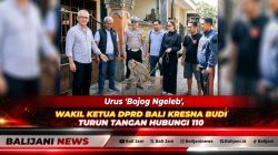 Urus ‘Bojog Ngeleb’, Wakil Ketua DPRD Bali Kresna Budi Turun Tangan Hubungi 110