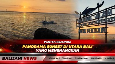 Suasana perahu tradisional nelayan saat mengantar wisatawan menikmati tur lumba-lumba di perairan Pantai Pemaron Lovina pada pagi hari