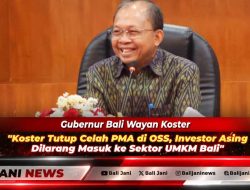Koster Tutup Celah PMA di OSS, Investor Asing Dilarang Masuk ke Sektor UMKM Bali