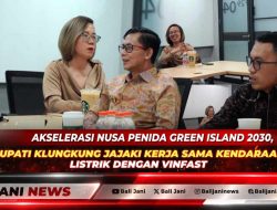 Akselerasi Nusa Penida Green Island 2030, Bupati Klungkung Jajaki Kerja Sama Kendaraan Listrik dengan VinFast