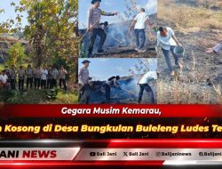 Gegara Musim Kemarau, Lahan Kosong di Desa Bungkulan Buleleng Ludes Terbakar