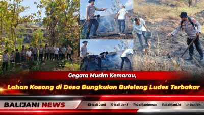 Gegara Musim Kemarau, Lahan Kosong di Desa Bungkulan Buleleng Ludes Terbakar