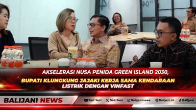 Akselerasi Nusa Penida Green Island 2030, Bupati Klungkung Jajaki Kerja Sama Kendaraan Listrik dengan VinFast