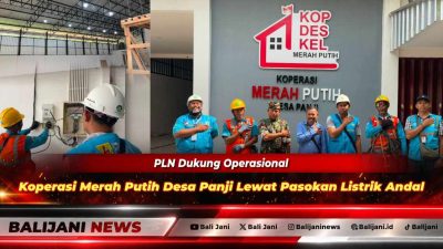 Manager PLN UP3 Bali Utara RM Dimas Adhi Prabowo bersama Ketua KDKMP Desa Panji Ketut Artana saat peninjauan fasilitas kelistrikan Koperasi Merah Putih Desa Panji