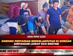 KKN-PPM UGM Dorong Pertanian Berkelanjutan di Songan Kintamani Lewat Eco Enzyme