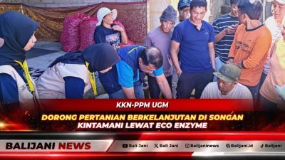 Mahasiswa KKN-PPM UGM bersama dosen Universitas Warmadewa Gede Sutapa dan Kelompok Tani Bangun Merta saat mempraktikkan pembuatan Eco Enzyme di Desa Songan