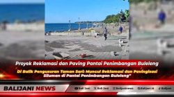Suasana aktivitas pengurukan dan pavingisasi di kawasan sempadan Pantai Penimbangan Buleleng yang menuai sorotan warga