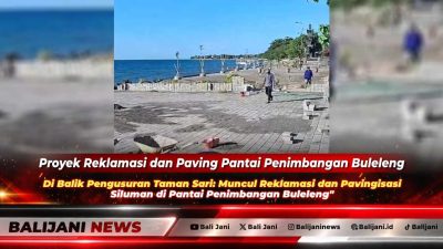 Suasana aktivitas pengurukan dan pavingisasi di kawasan sempadan Pantai Penimbangan Buleleng yang menuai sorotan warga