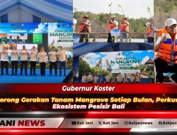 Gubernur Koster Dorong Gerakan Tanam Mangrove Setiap Bulan, Perkuat Ekosistem Pesisir Bali