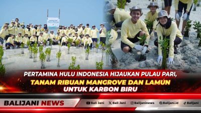 Pekerja PT Pertamina Hulu Indonesia bersama warga lokal saat bergotong royong menanam bibit mangrove dan lamun di kawasan pesisir pantai Pulau Pari