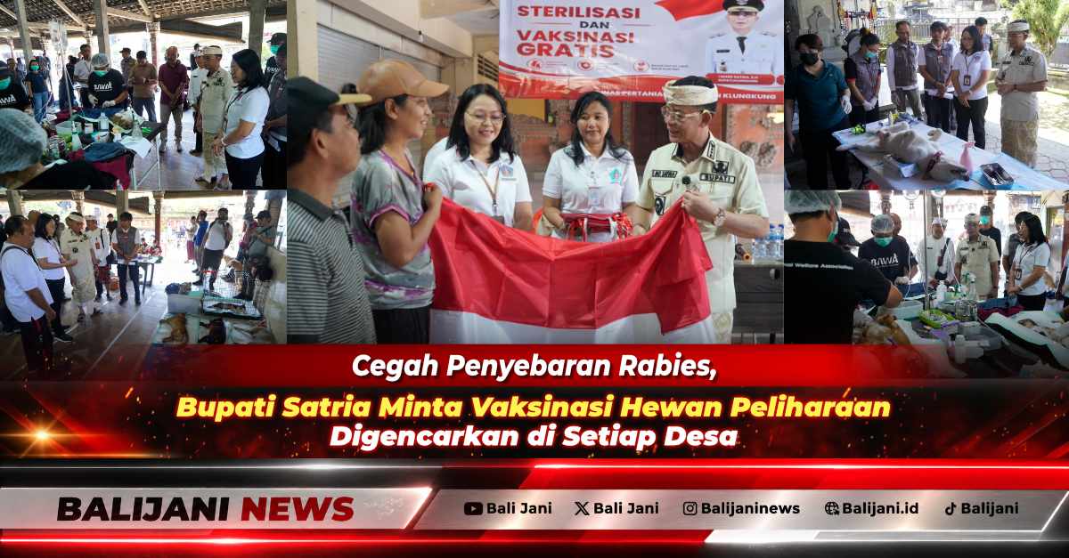 Bupati Klungkung I Made Satria saat meninjau langsung pelaksanaan sterilisasi dan vaksinasi rabies gratis hewan peliharaan warga di Desa Gunaksa Kecamatan Dawan