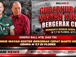 Sinergi Bali, NTB, dan TNI: Gubernur Wayan Koster Bergerak Cepat Bantu Korban Gempa M 7,7 di Flores