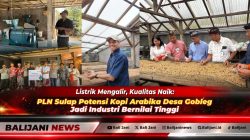 Penyerahan bantuan peralatan modernisasi pengolahan kopi arabika program TJSL PLN UID Bali kepada Kelompok Tani Gobleg Bali Coffee di Buleleng