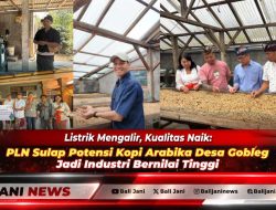 Listrik Mengalir, Kualitas Naik: PLN Sulap Potensi Kopi Arabika Desa Gobleg Jadi Industri Bernilai Tinggi