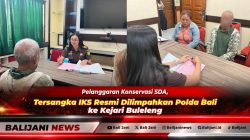 Prosesi penyerahan tersangka IKS dan barang bukti kasus pelanggaran konservasi sumber daya alam dari penyidik Polda Bali kepada JPU Komang Tirta Wati di Ruang Tahap II Kejari Buleleng