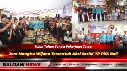 Tujuh Tahun Tanpa Pekerjaan Tetap, Jero Mangku Wijana Tersentuh Aksi Sosial TP PKK Bali