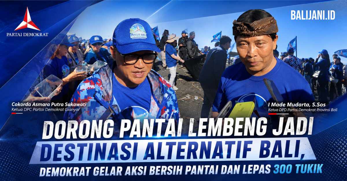 Kader Partai Demokrat Bali bersama warga saat melepas 300 ekor tukik di pesisir Pantai Lembeng Gianyar dalam aksi Gerakan Langit Biru Indonesia Asri