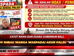 Catut Nama dan Suara Gubernur Bali, Pemprov Imbau Warga Waspadai Akun Palsu ‘wyn kstr’
