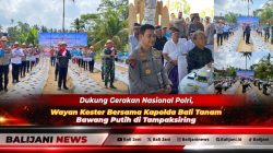 Dukung Gerakan Nasional Polri, Wayan Koster Bersama Kapolda Bali Tanam Bawang Putih di Tampaksiring
