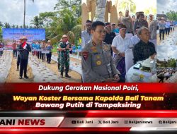 Dukung Gerakan Nasional Polri, Wayan Koster Bersama Kapolda Bali Tanam Bawang Putih di Tampaksiring