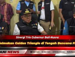 Sinergi Trio Gubernur Bali-Nusra: Menjelmakan Golden Triangle di Tengah Bencana Flores