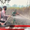 Personel BKO Sat Brimobda Bali Gerak Cepat Bantu Padamkan Karhutla di Kubu Raya Kalbar