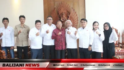 Pengurus DPP PERTALINDO Bali audiensi dengan Gubernur Bali terkait energi bersih