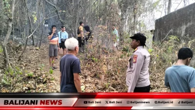 Petugas gabungan dan warga padamkan kebakaran lahan di perbukitan Desa Sekumpul Buleleng