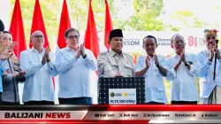 Bali Menuju Mandiri Energi Bersih: Presiden Prabowo Resmikan Proyek PLTS 100 GWp di Jembrana