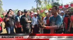 Sudaji Peace Trail Fun Run 2026: Saat Olahraga, Sawah Organik, dan UMKM Menyatu di Buleleng