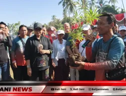 Sudaji Peace Trail Fun Run 2026: Saat Olahraga, Sawah Organik, dan UMKM Menyatu di Buleleng