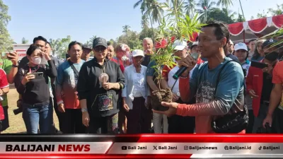 Sudaji Peace Trail Fun Run 2026: Saat Olahraga, Sawah Organik, dan UMKM Menyatu di Buleleng