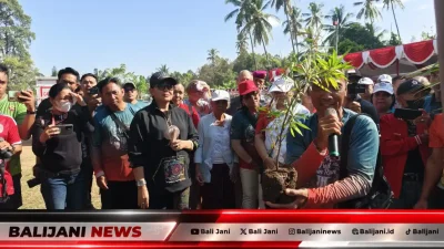 Ketua Dekranasda Bali Ny. Putri Koster saat memberikan arahan tata cara menanam pohon yang benar di Desa Sudaji Buleleng