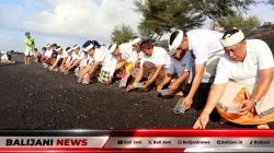 Perayaan Serentak Tumpek Uye di Bali: Momentum Jaga Keharmonisan Alam dan Pelestarian Satwa
