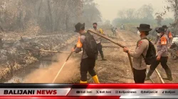 Personel Satuan Brimob Polda Bali BKO Polda Kalbar saat berjibaku melakukan pemadaman kebakaran hutan dan lahan di Kalimantan Barat