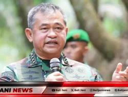 Jembatan Pongpet Dibangun Ulang, Kasad: Lebih Baik Kita Bongkar dari Awal