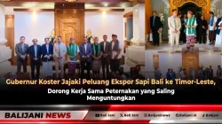 Gubernur Koster Jajaki Peluang Ekspor Sapi Bali ke Timor-Leste, Dorong Kerja Sama Peternakan yang Saling Menguntungkan