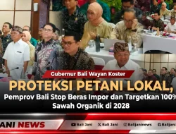 Proteksi Petani Lokal, Pemprov Bali Stop Beras Impor dan Targetkan 100% Sawah Organik di 2028