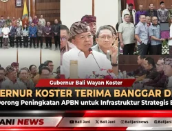 Gubernur Koster Terima Banggar DPR RI, Dorong Peningkatan APBN untuk Infrastruktur Strategis Bali