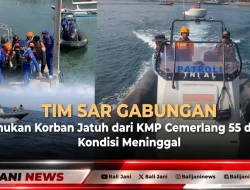 Tim SAR Gabungan Temukan Korban Jatuh dari KMP Cemerlang 55 dalam Kondisi Meninggal