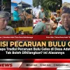 Mengapa Tradisi Pecaruan Bulu Geles di Desa Adat Tista Tak Boleh Dihilangkan? Ini Alasannya