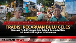 Mengapa Tradisi Pecaruan Bulu Geles di Desa Adat Tista Tak Boleh Dihilangkan? Ini Alasannya
