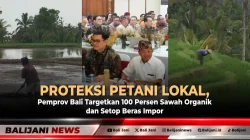 Proteksi Petani Lokal, Pemprov Bali Targetkan 100 Persen Sawah Organik dan Setop Beras Impor